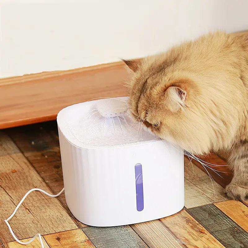 Fontaine à eau automatique pour chat et chien