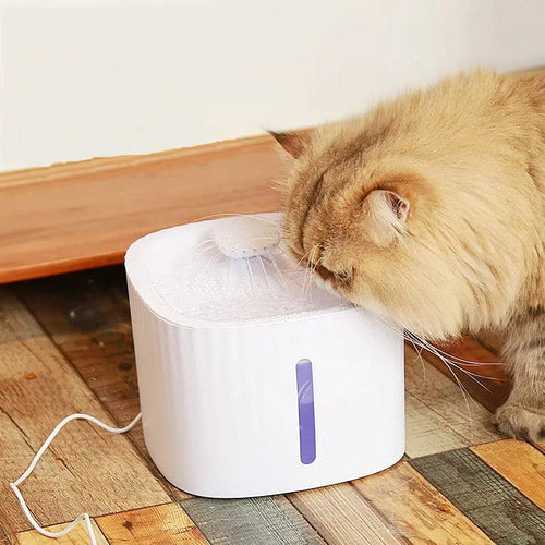 Fontaine à eau automatique pour chat et chien